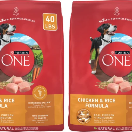 Purina ONE Natural Adult Chicken & Rice Formula Dry Dog Food, 40-lb bag, bundle of 2